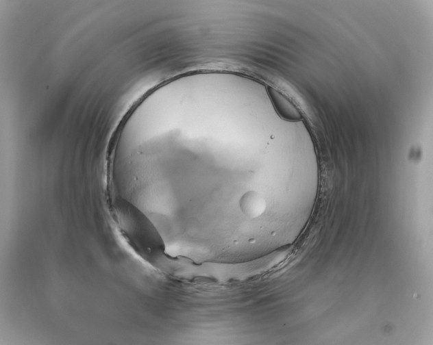 X0000091591095200709101035