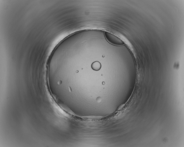 X0000091591096200709101035