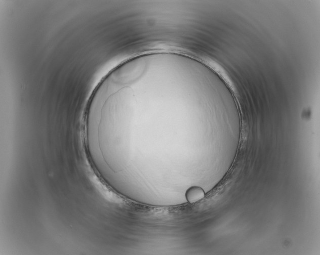 X0000091591098200709101035