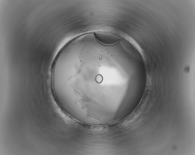 X0000091591099200709101035