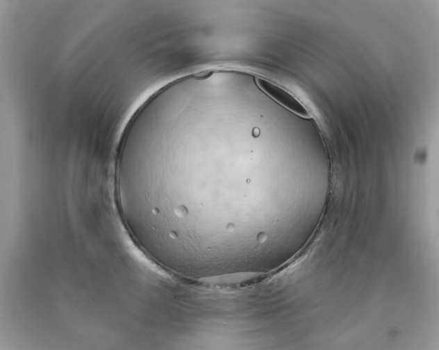 X0000091591100200709101035