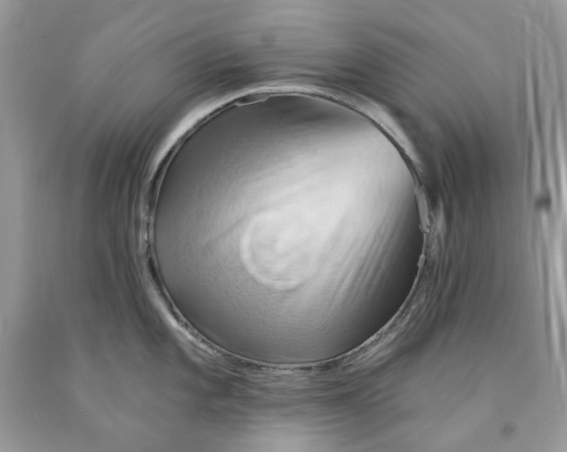 X0000091591101200709101035