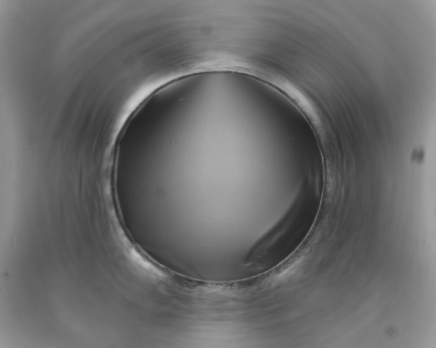 X0000091591102200709101035