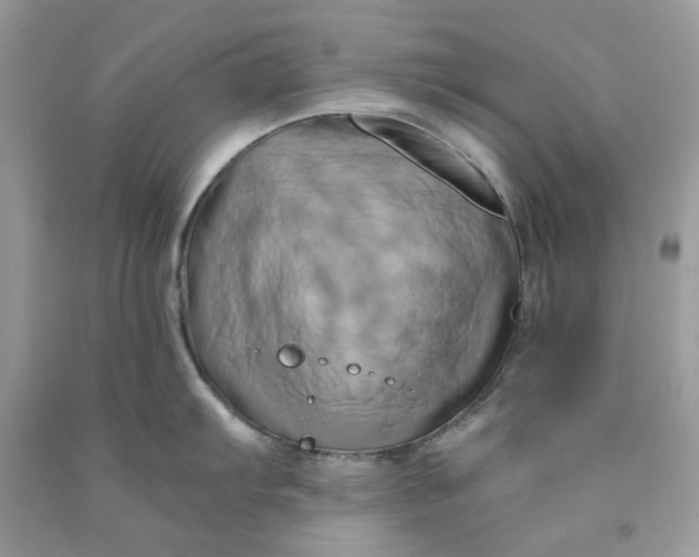 X0000091591103200709101035