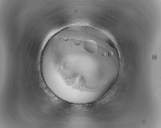 X0000091591104200709101035