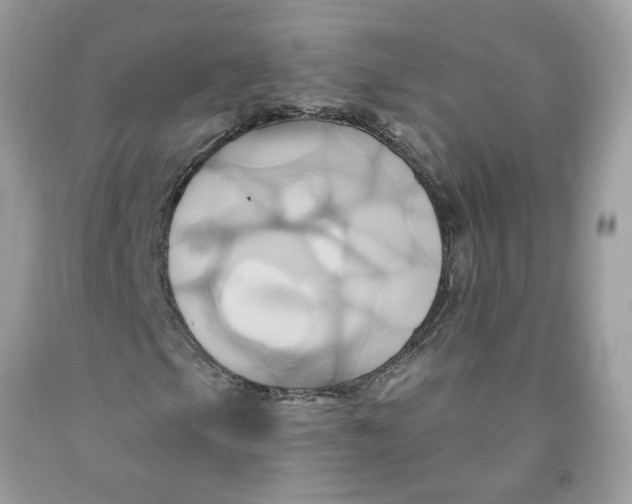 X0000091591105200709101034