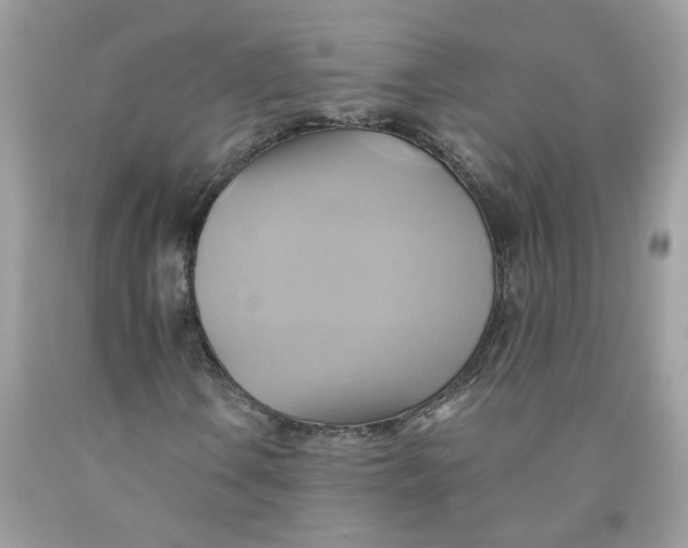 X0000091591106200709101034