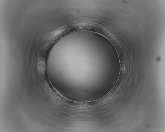 X0000091591108200709101034