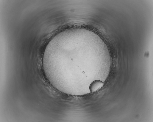 X0000091591109200709101034