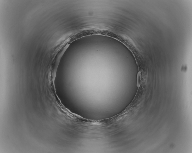 X0000091591110200709101034