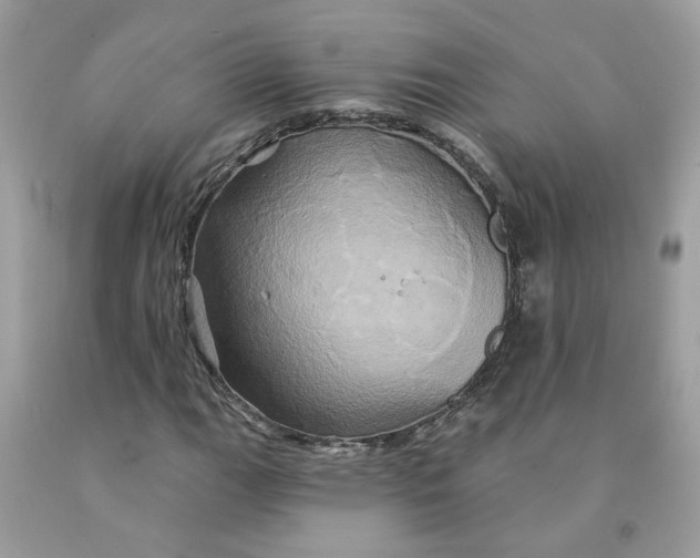 X0000091591111200709101034