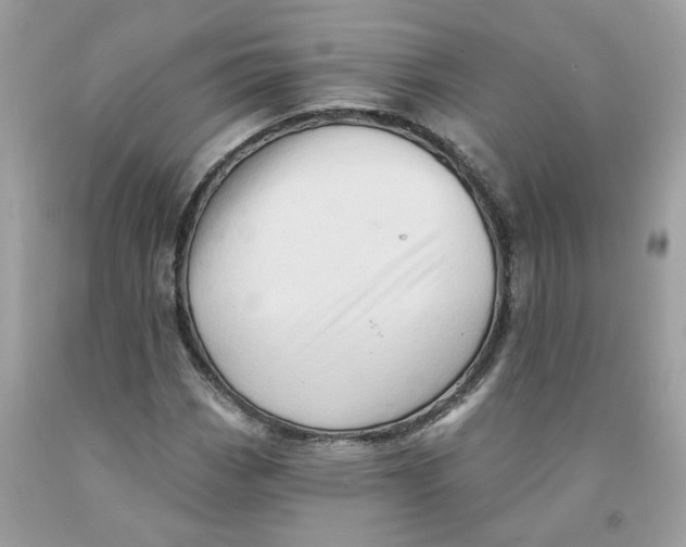 X0000091591113200709101034