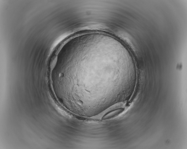 X0000091591114200709101034