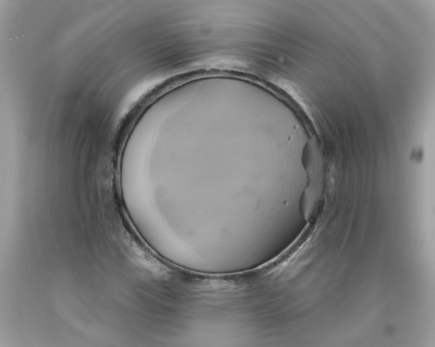 X0000091591115200709101034