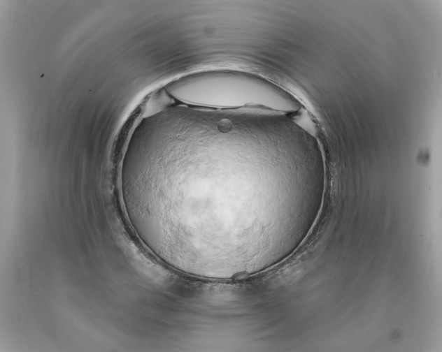 X0000091591116200709101034