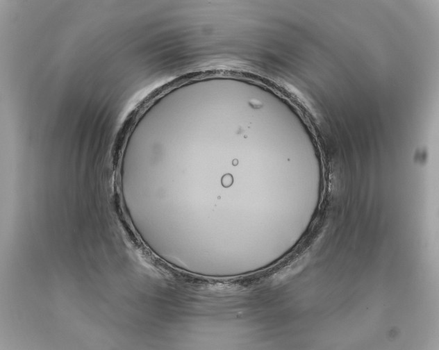 X0000091591117200709101034