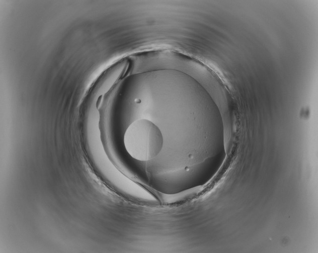 X0000091591118200709101034