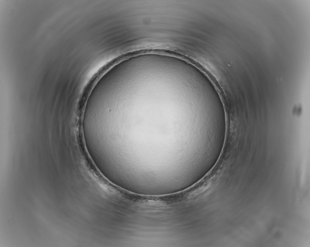 X0000091591119200709101034