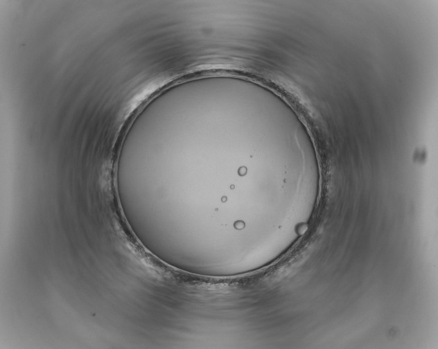 X0000091591121200709101034