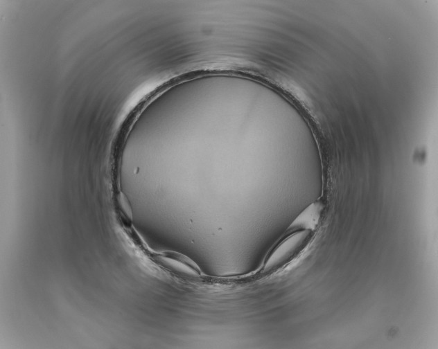 X0000091591122200709101034