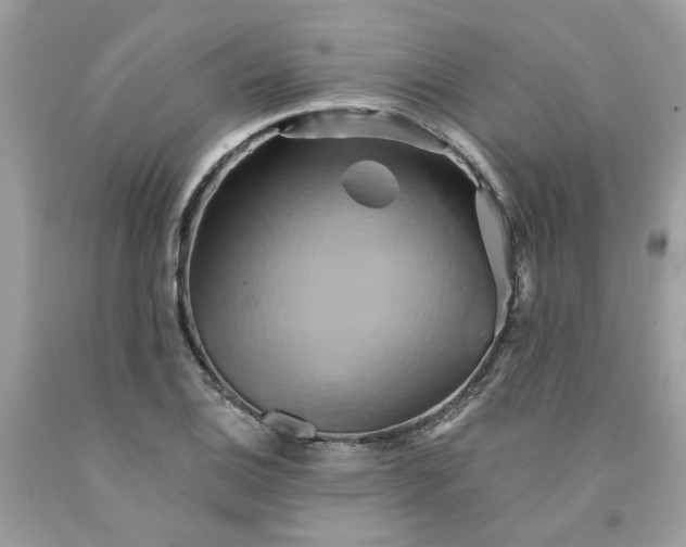 X0000091591124200709101034