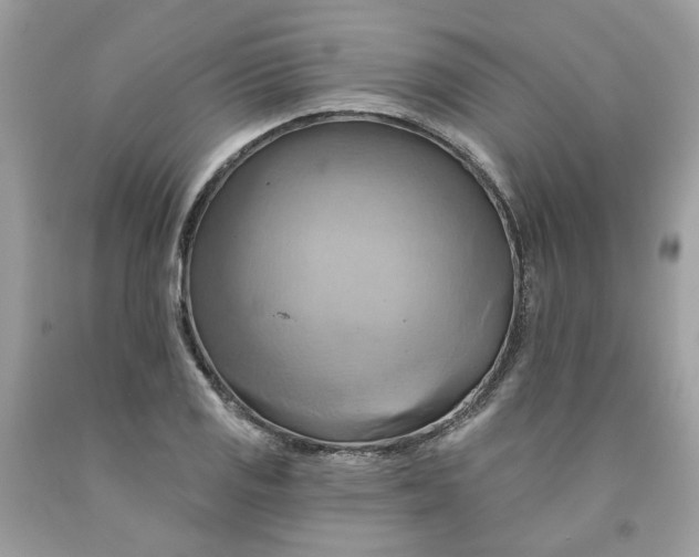 X0000091591125200709101034