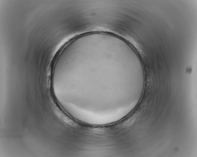 X0000091591126200709101034