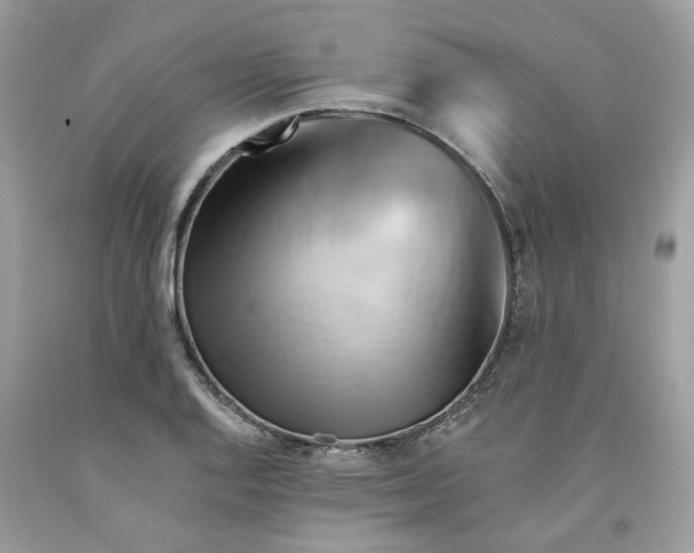 X0000091591128200709101035