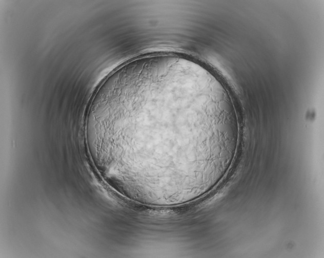 X0000091591129200709101035