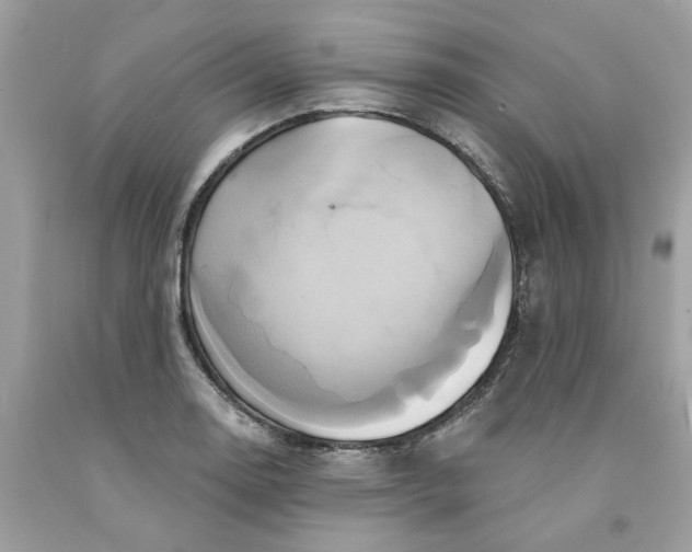 X0000091591130200709101035