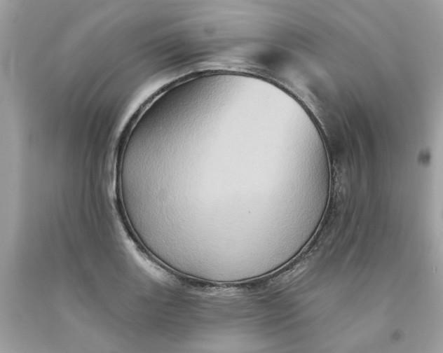 X0000091591131200709101035