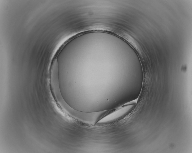 X0000091591132200709101035