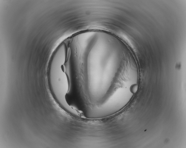 X0000091591133200709101035