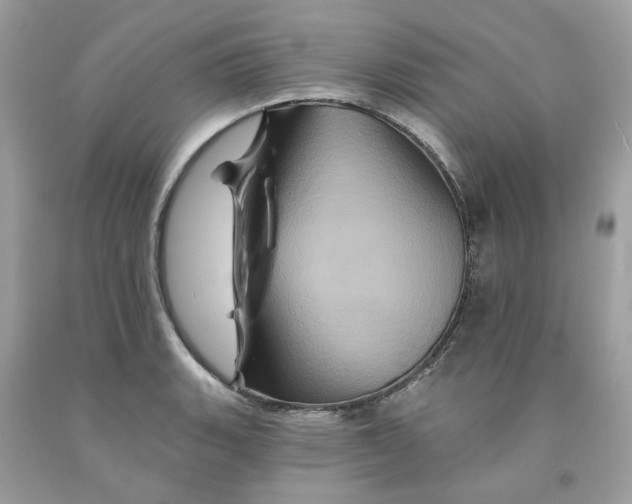 X0000091591135200709101035