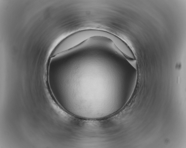 X0000091591136200709101035