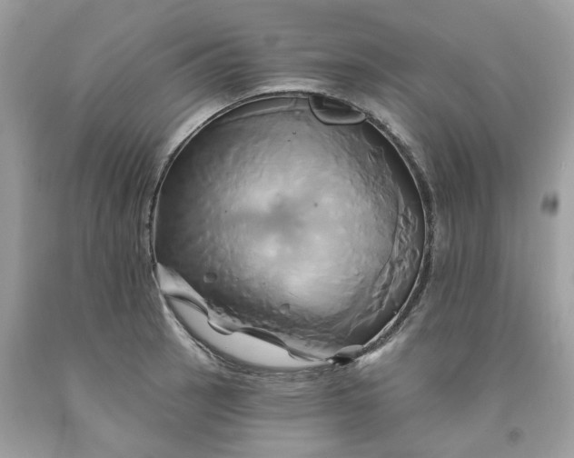 X0000091591137200709101035