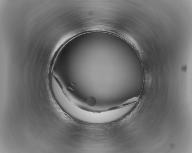 X0000091591138200709101035