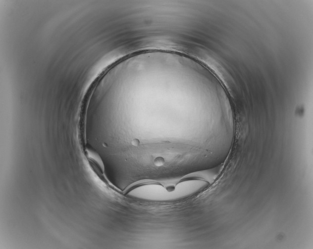 X0000091591139200709101035