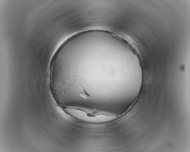 X0000091591140200709101035