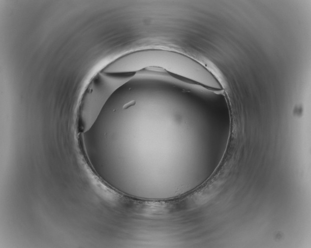 X0000091591144200709101035