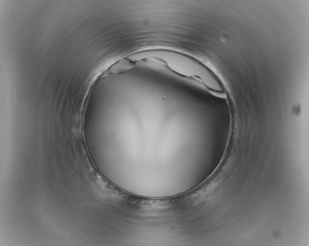 X0000091591145200709101035