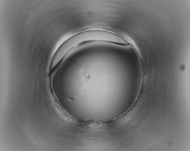 X0000091591146200709101035