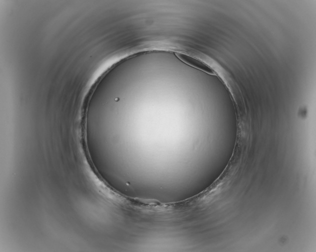 X0000091591147200709101035