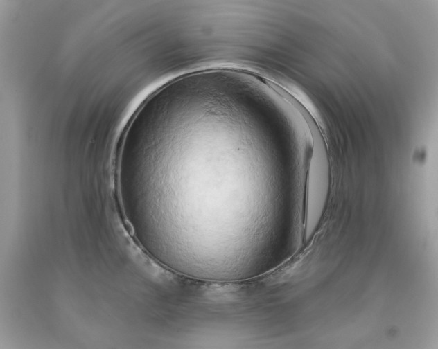 X0000091591148200709101035