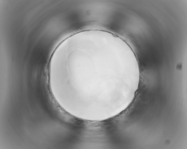 X0000091591150200709101035