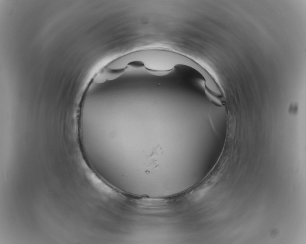 X0000091591151200709101035