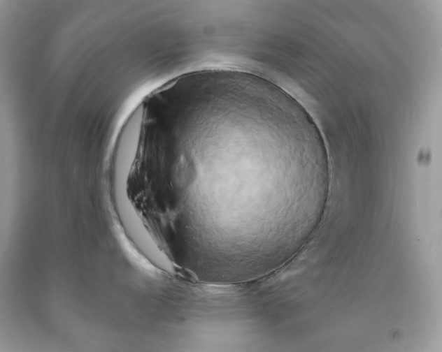 X0000091591152200709101035