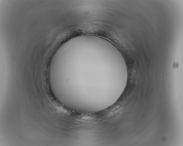 X0000091591153200709101034