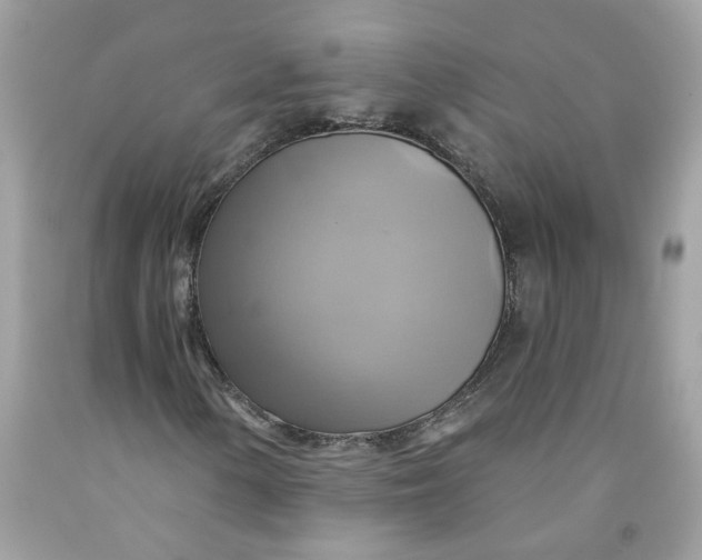 X0000091591154200709101034