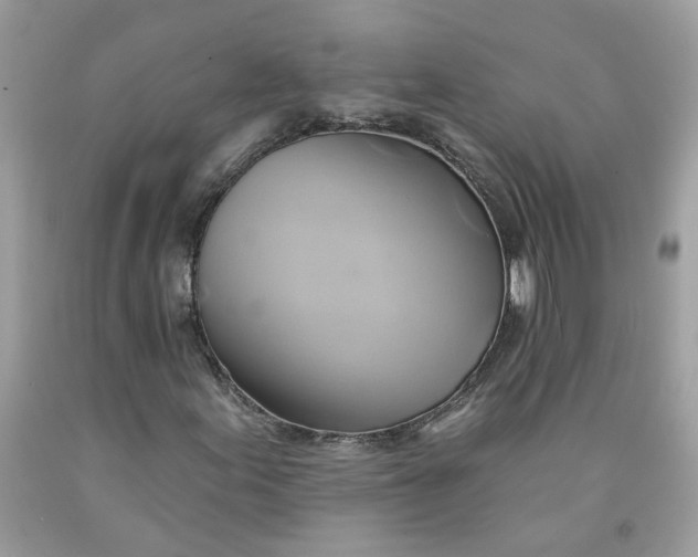 X0000091591155200709101034